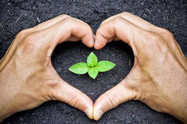 Fotolia_62876556_S Fotolia_62876556_S