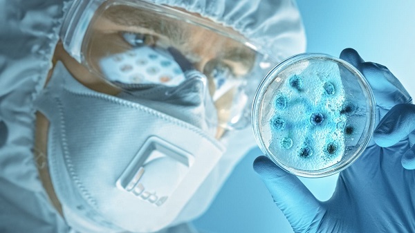 Scientist-bacteria-petri-dish-scaled Scientist-bacteria-petri-dish-scaled